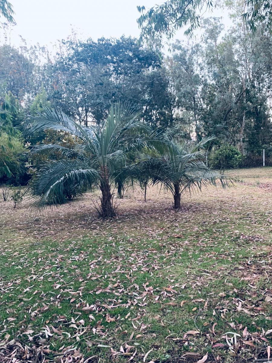 Venta Terreno Puembo 5000 m Sector Mangahuantag — imagen 3