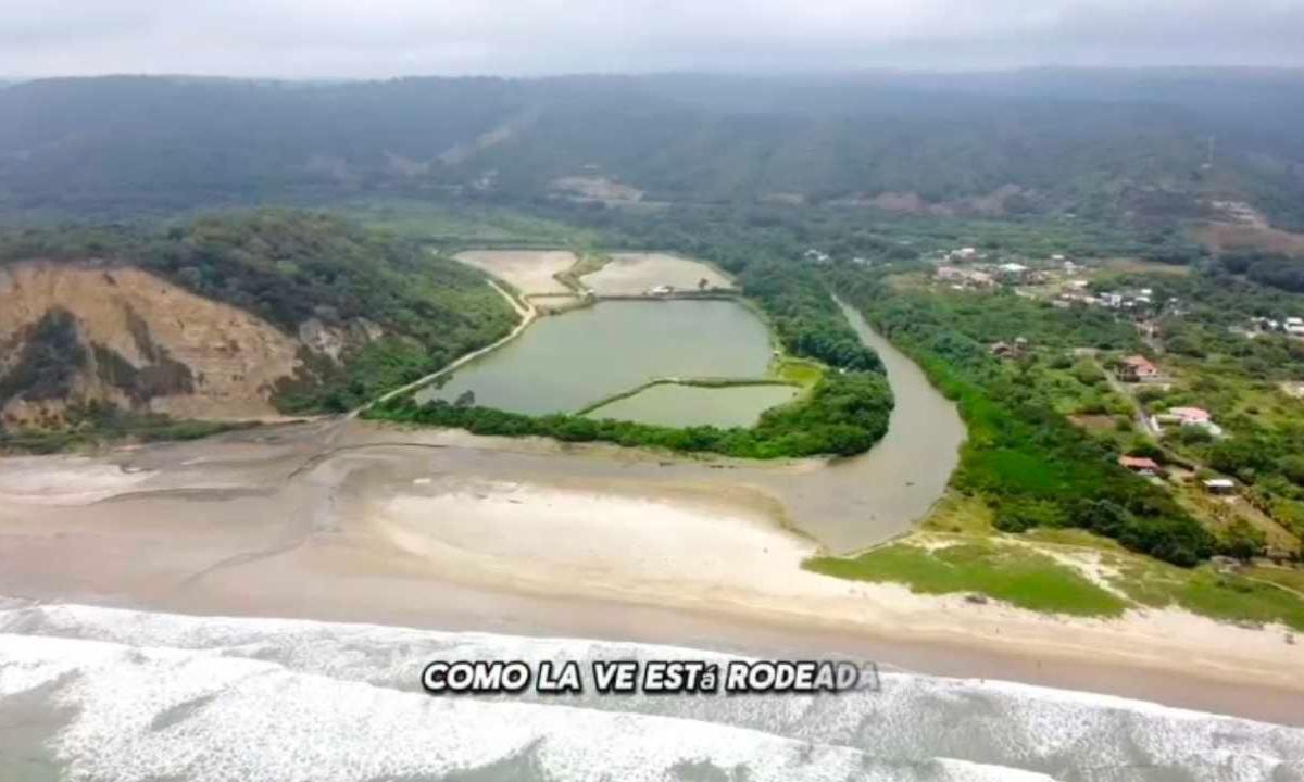 Hermoso Terreno Primera Linea del Mar Canoa 15hc Narias, Manabí — imagen 5
