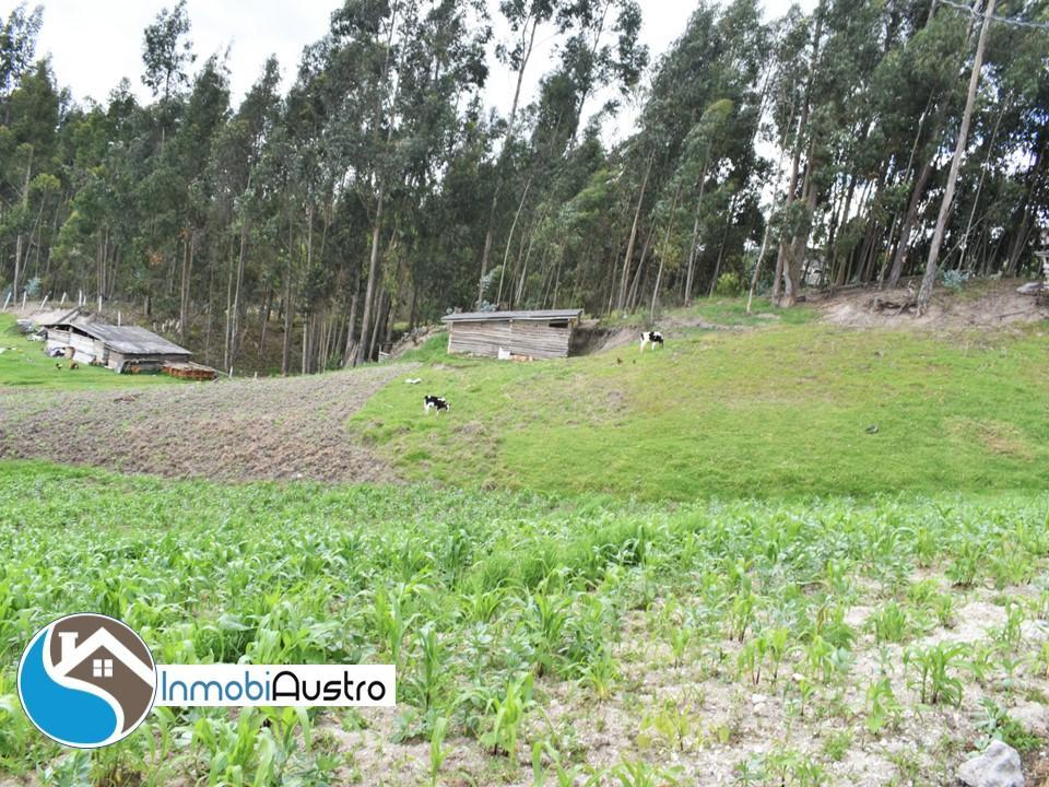 El Valle, Venta de Casa con Amplio Terreno de 1.918 m², Azuay — imagen 5