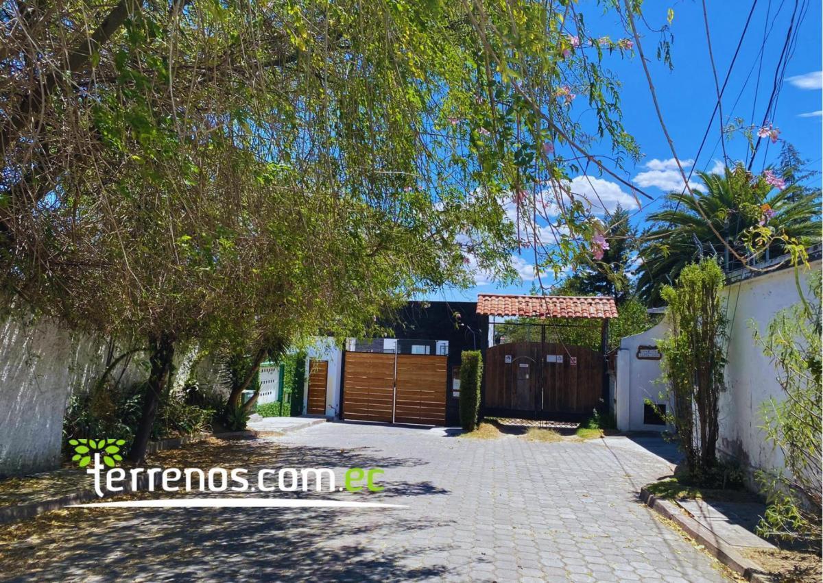 Terreno Independiente de Venta en Tumbaco 6,194.27 m², Sector Tola Grande — imagen 3