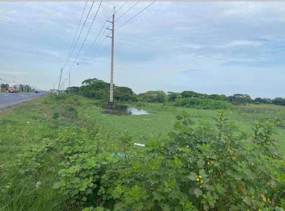 Venta 15 Has Vía a Salitre, Km. 10.5, Frente 275 m. Uso Comercial - Habitacional, Guayas — imagen 5