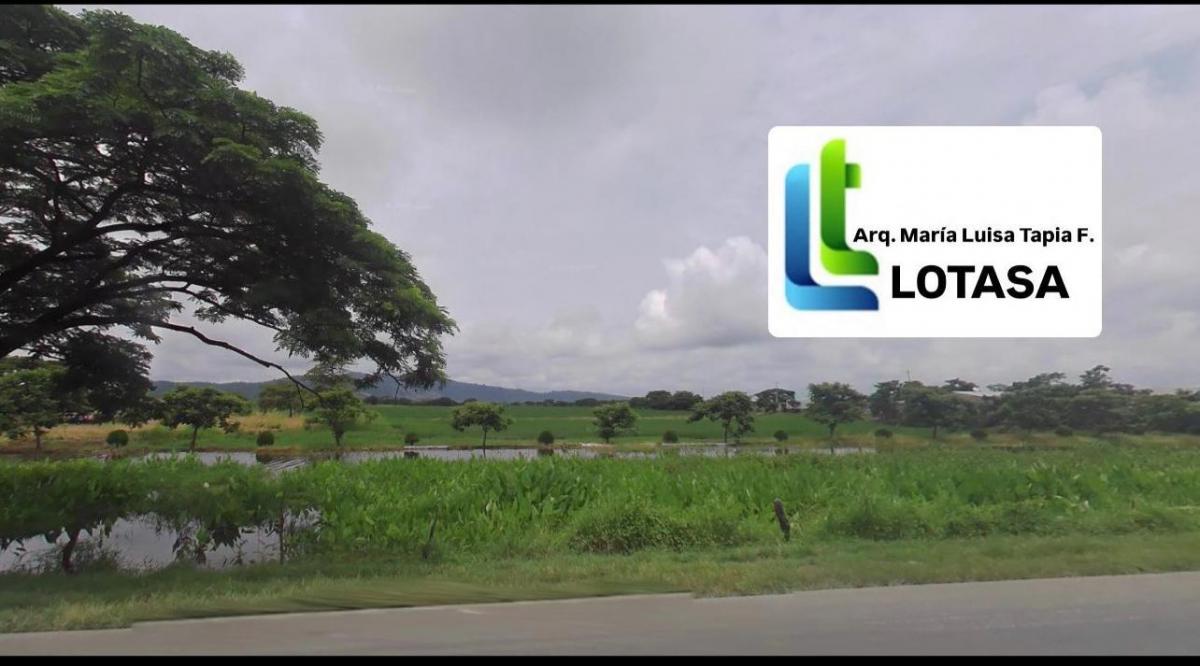 Venta 15 Has Vía a Salitre, Km. 10.5, Frente 275 m. Uso Comercial - Habitacional, Guayas — imagen 4