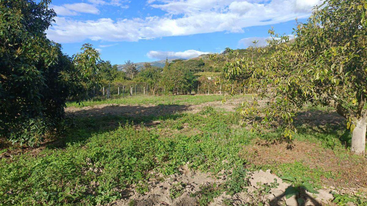 Terreno de 1751 m² en Venta en Guayllabamba — imagen 5