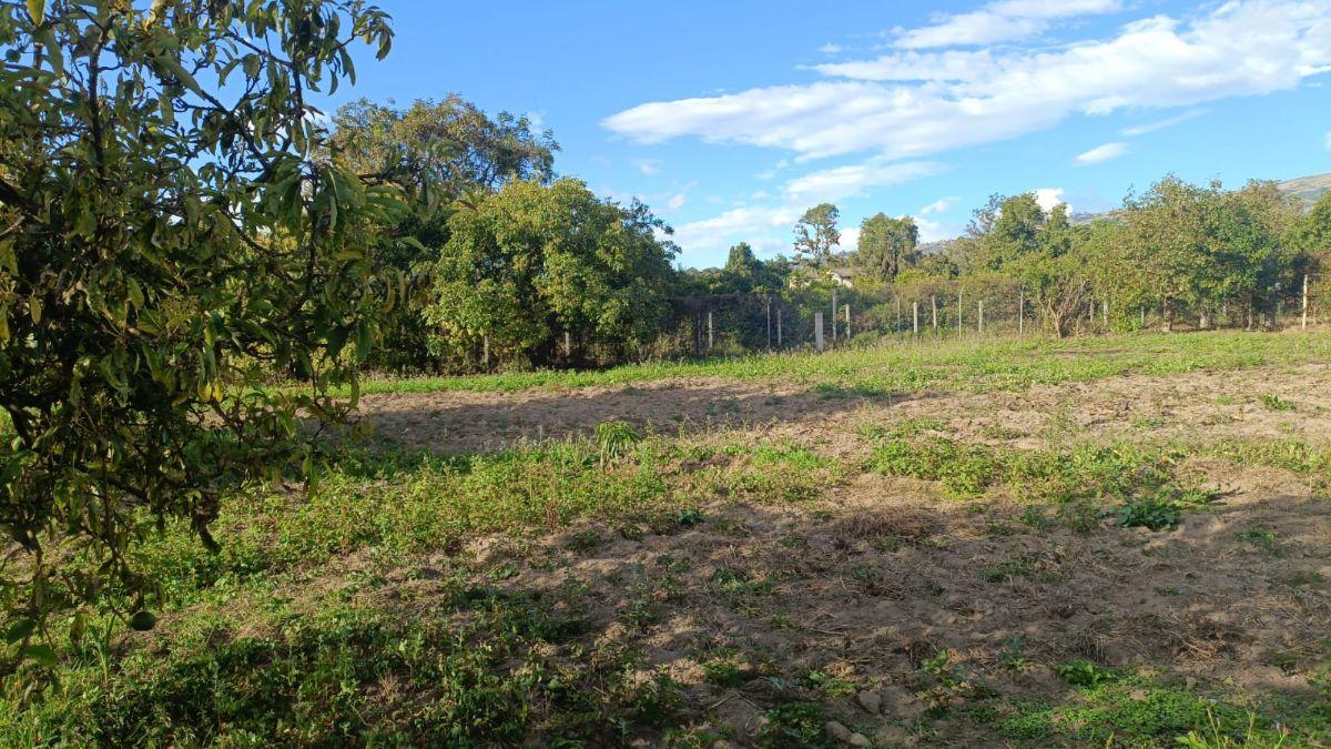 Terreno de 1751 m² en Venta en Guayllabamba — imagen 4
