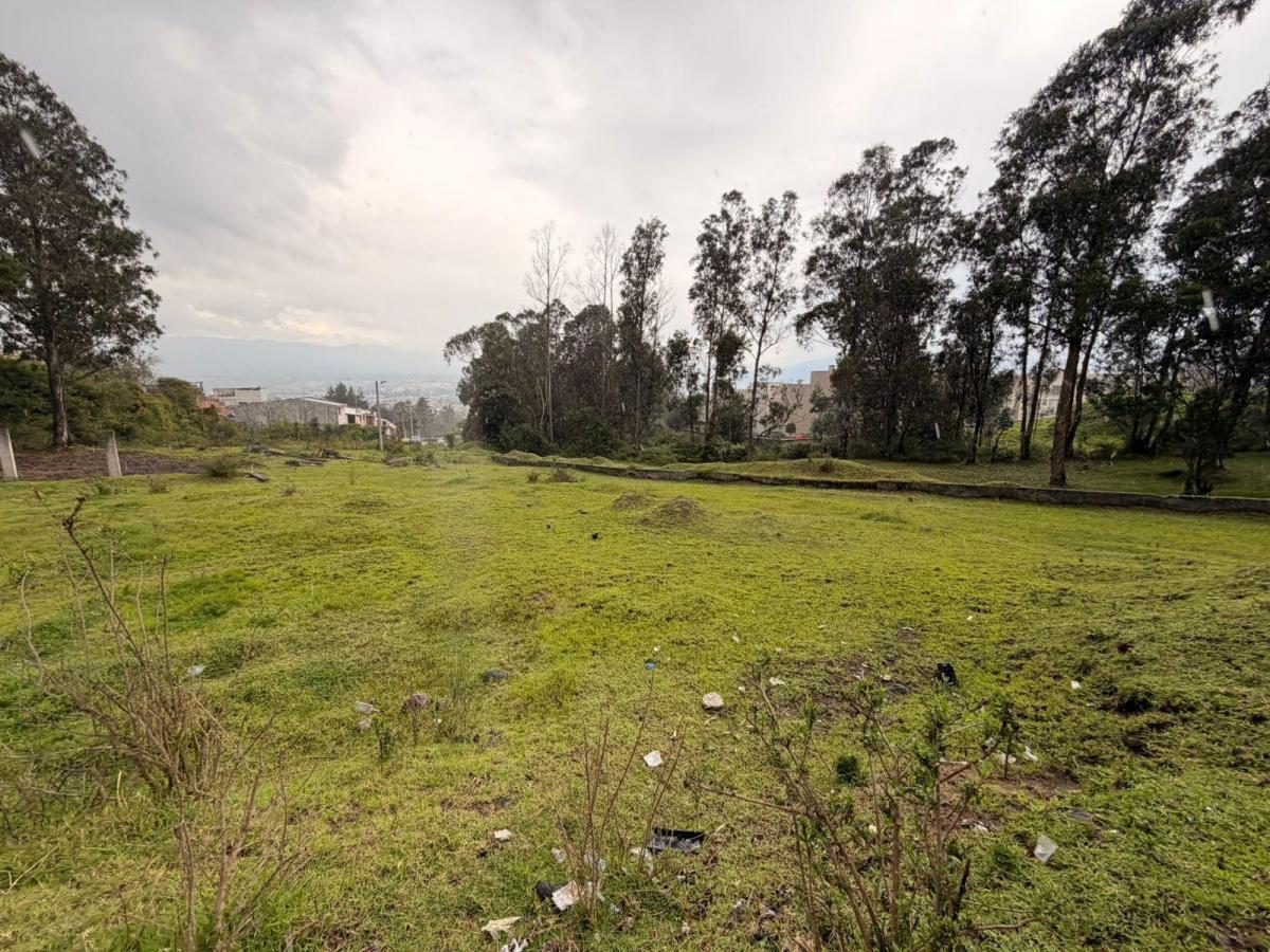 Venta Terreno 5.500 m² Valle Chillos Conocoto Ideal Constructor — imagen 4