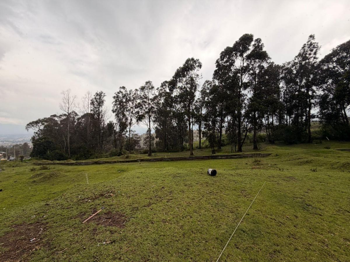 Venta Terreno 5.500 m² Valle Chillos Conocoto Ideal Constructor — imagen 3