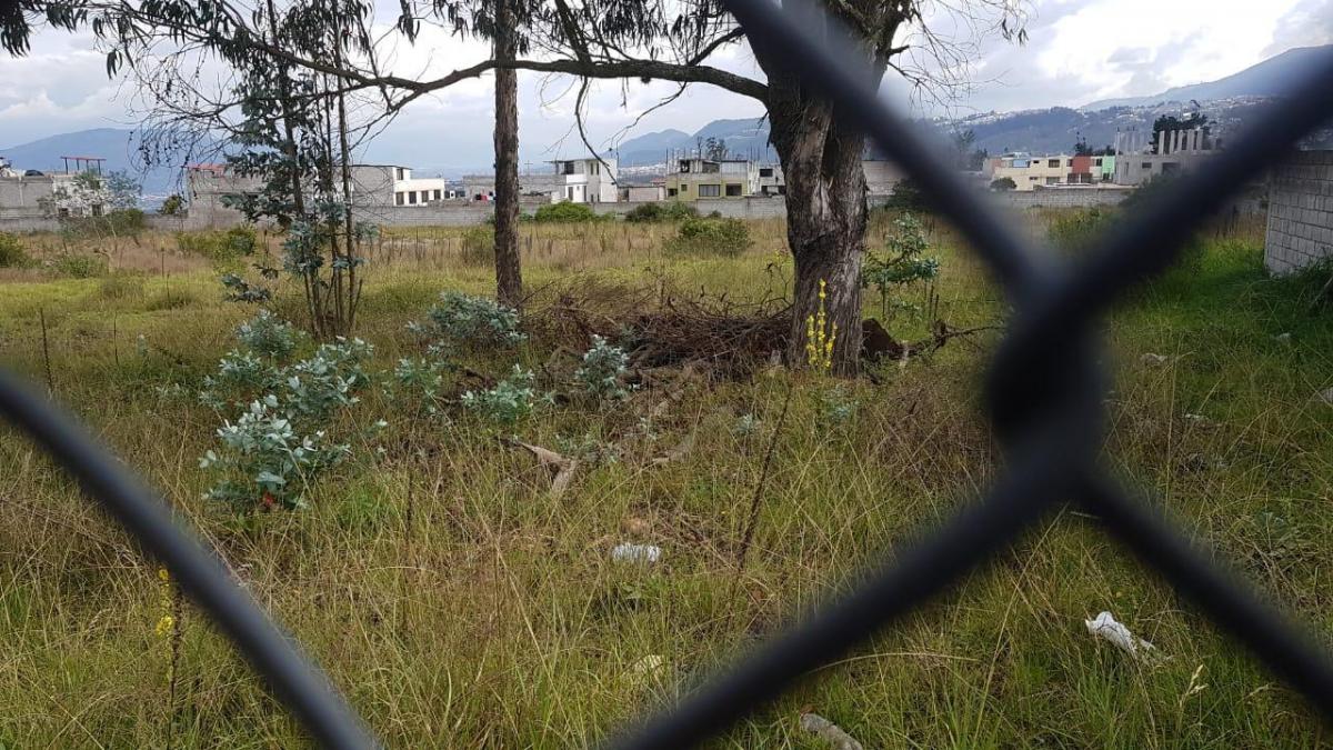 Vendo Terreno Plano, Super Oferta! Ideal Vivienda Vip o Vis - Sector Calderón — imagen 4