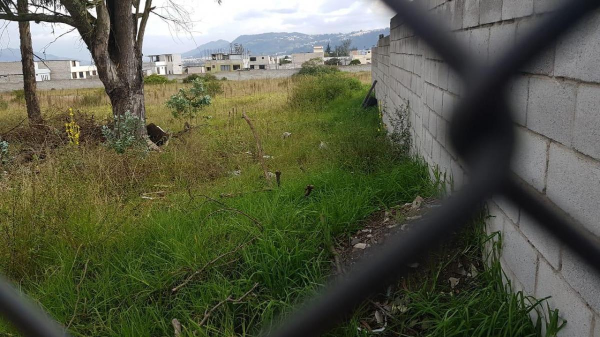 Vendo Terreno Plano, Super Oferta! Ideal Vivienda Vip o Vis - Sector Calderón — imagen 3