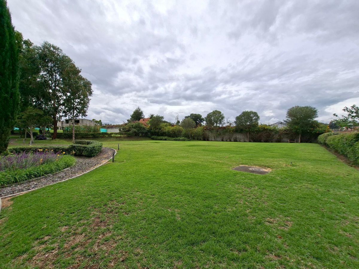 Vendo Espectacular Terreno en Urbanización de 24 Lotes en Puembo — imagen 5