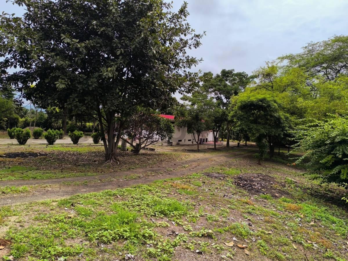Terreno en Venta en El Sector El Limon de Picoaza - Portoviejo, Manabí — imagen 4
