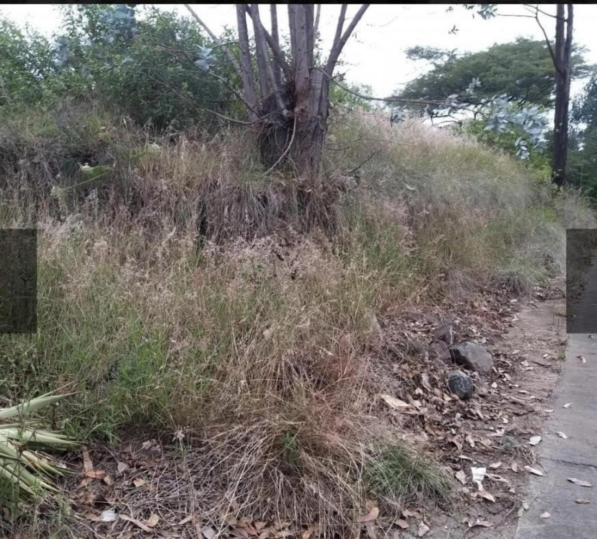 Terreno - Nayón — imagen 5