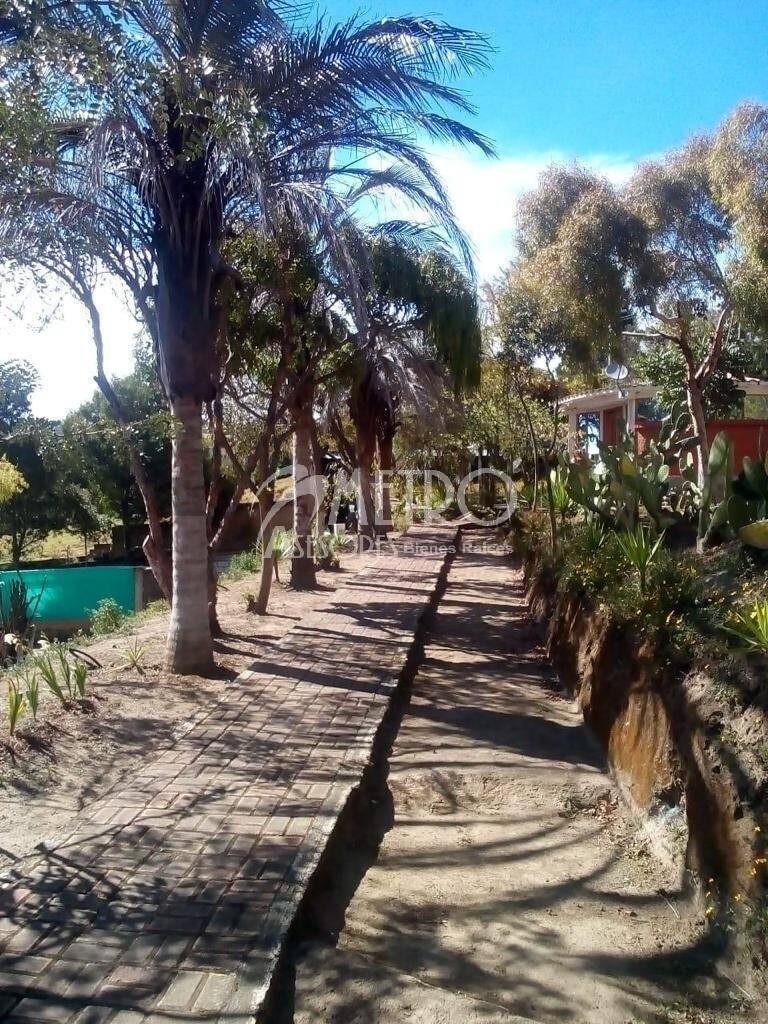 Terreno Esquinero en Venta 3.736 m² en Cangahua - Cayambe — imagen 4