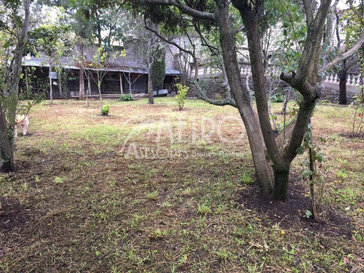 Terreno Esquinero en Venta 3.736 m² en Cangahua - Cayambe — imagen 3