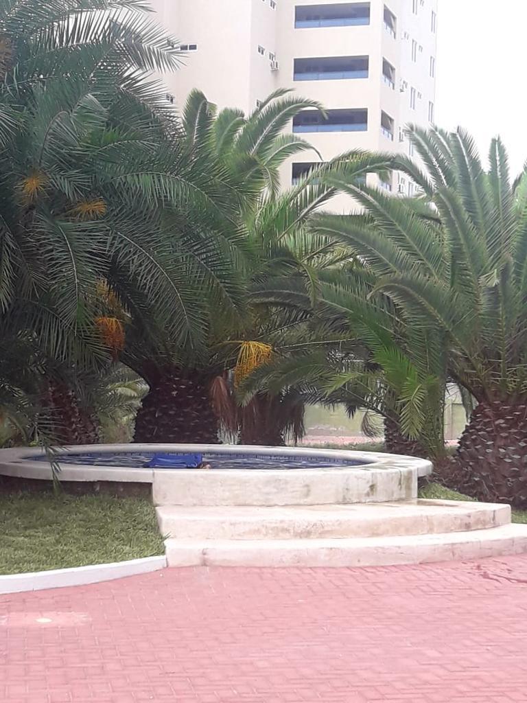 Departamento Punta Blanca Punta Centinela X Punta Blanca — imagen 4