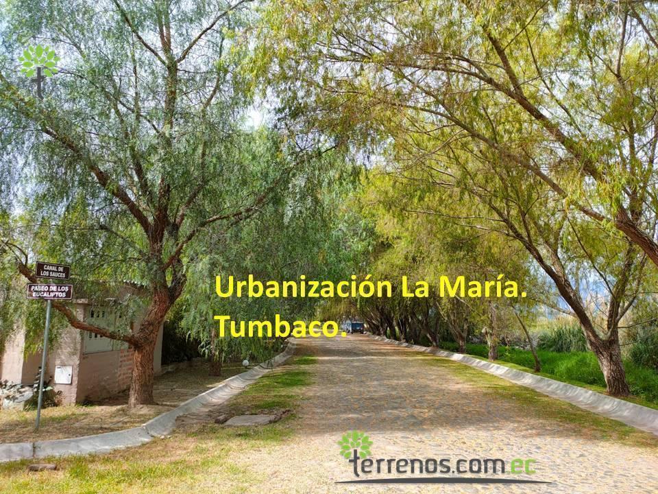 Venta Terreno Bifamiliar 2.504 M².tumbaco. Provincia de Pichincha — imagen 4