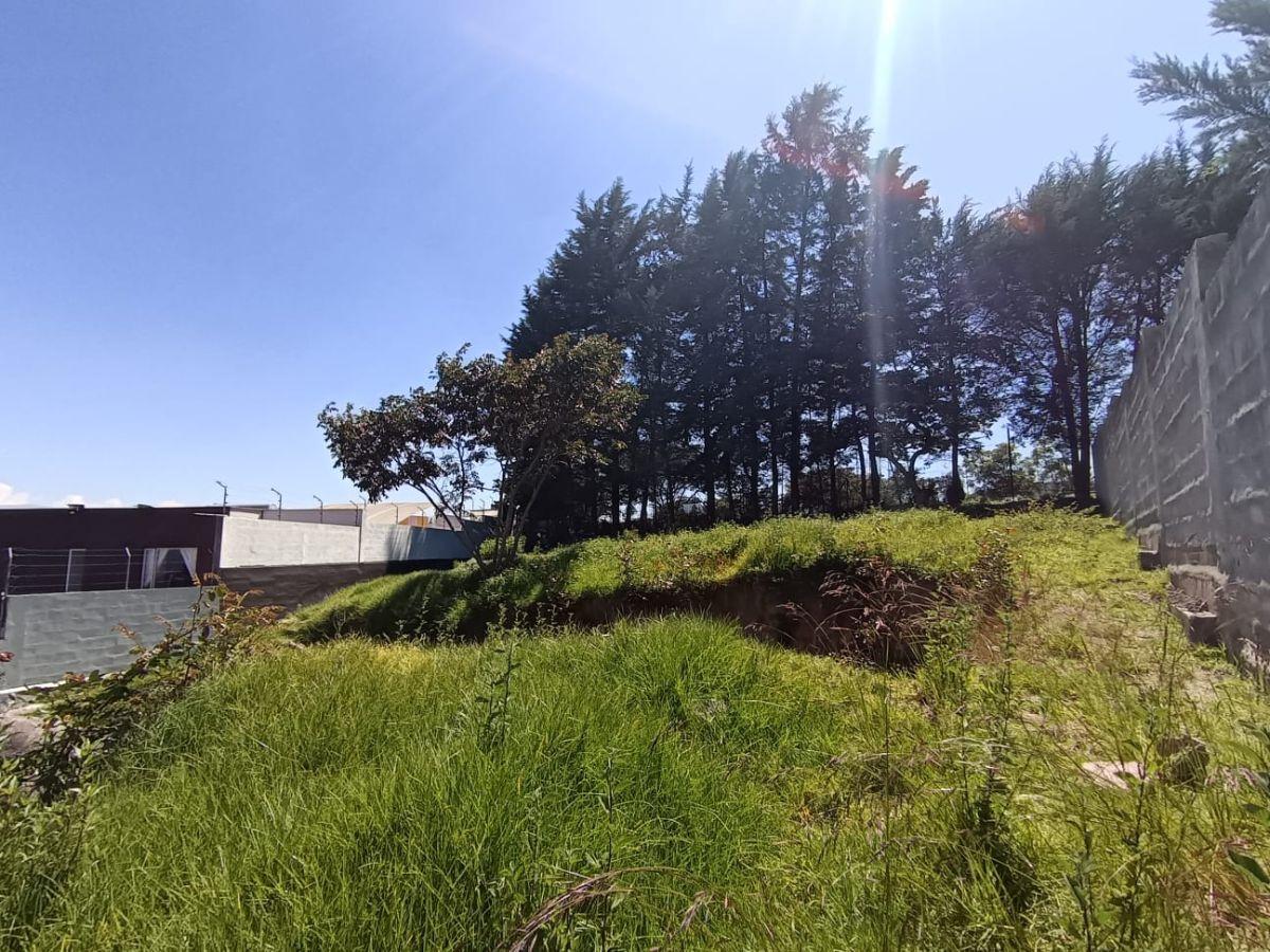 Se Vende Terreno en Inchapicho con Vista Espectacular — imagen 3