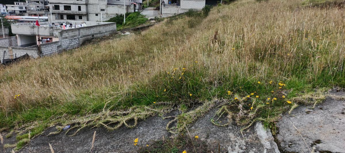 Terreno Esquinero en Venta 1065 m Chillogallo — imagen 6