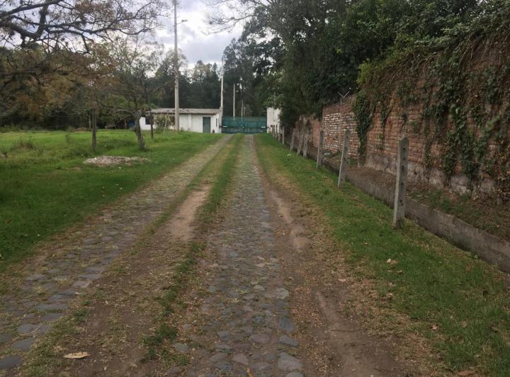Vendo Terreno Plano en Puembo – Sector Chiche Obraje — imagen 4