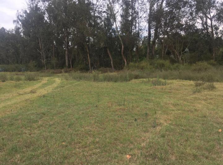 Vendo Terreno Plano en Puembo – Sector Chiche Obraje — imagen 3