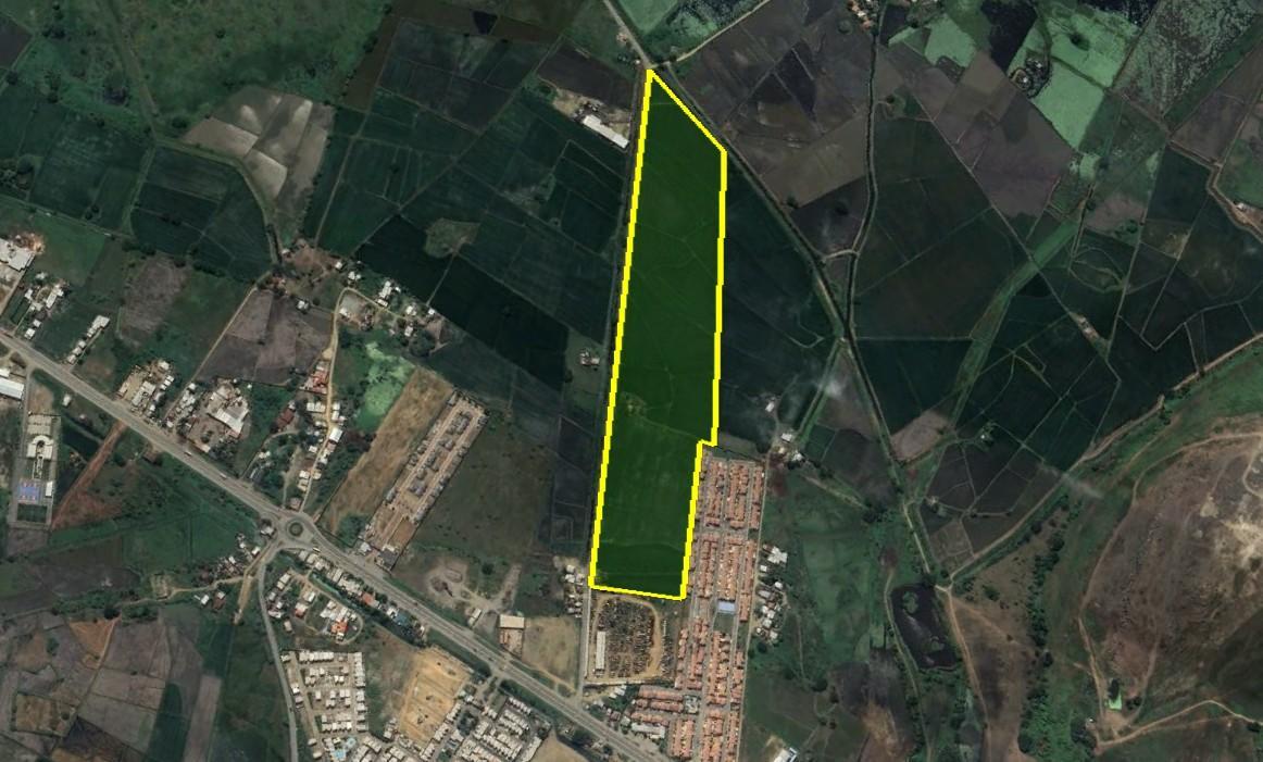 En Venta Terreno 12ha Via Salitre Daule Gran Guayaquil, Guayas — imagen 3