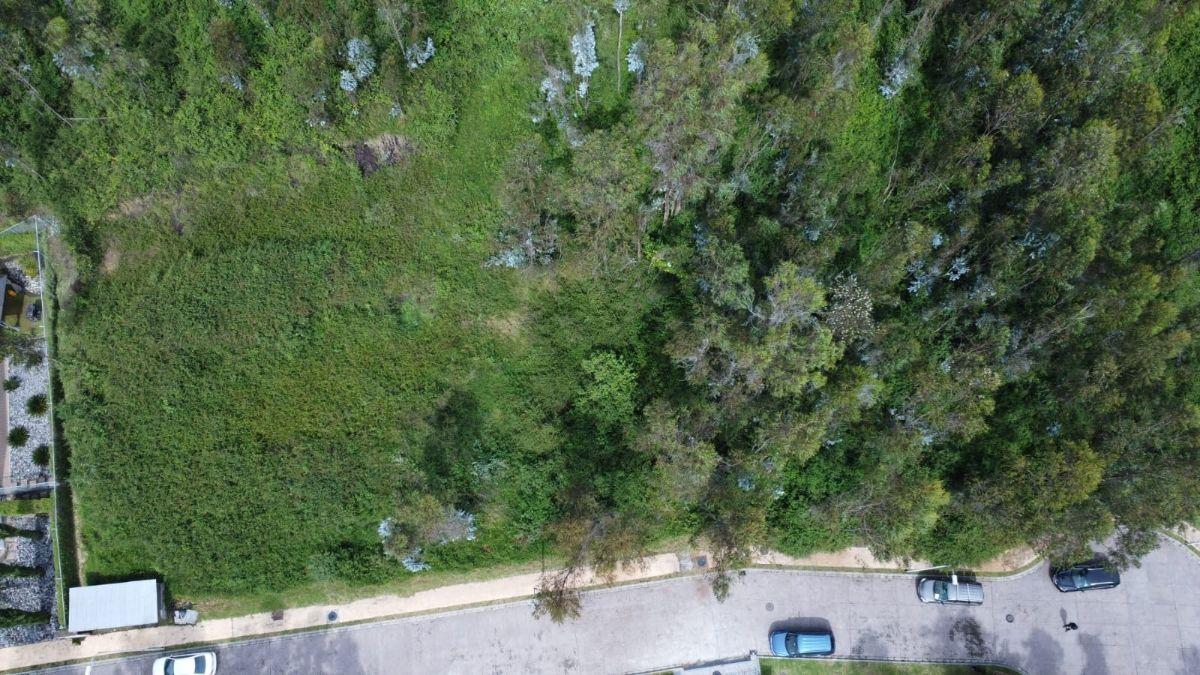 Se Vende Terreno en Urbanización Monte Abruzzo Sector Universidad Internacional — imagen 5