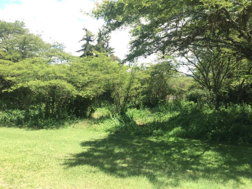 Venta Terreno Urbanizacion Arrayanes Puembo — imagen 4