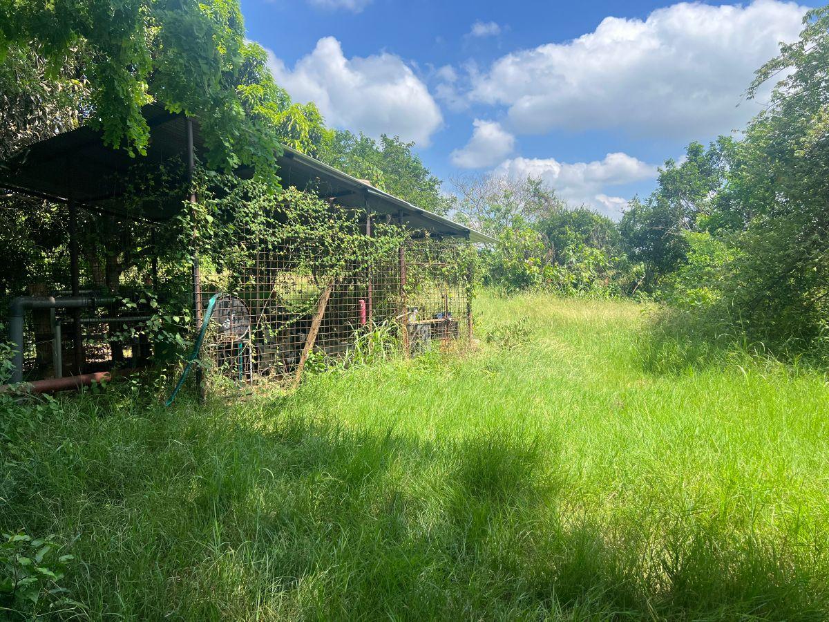 Venta Finca 30 Has Vía a Limoncito, Km 30 Vía La Costa a La Derecha, Sector Limoncito - Juntas, Guayas — imagen 4