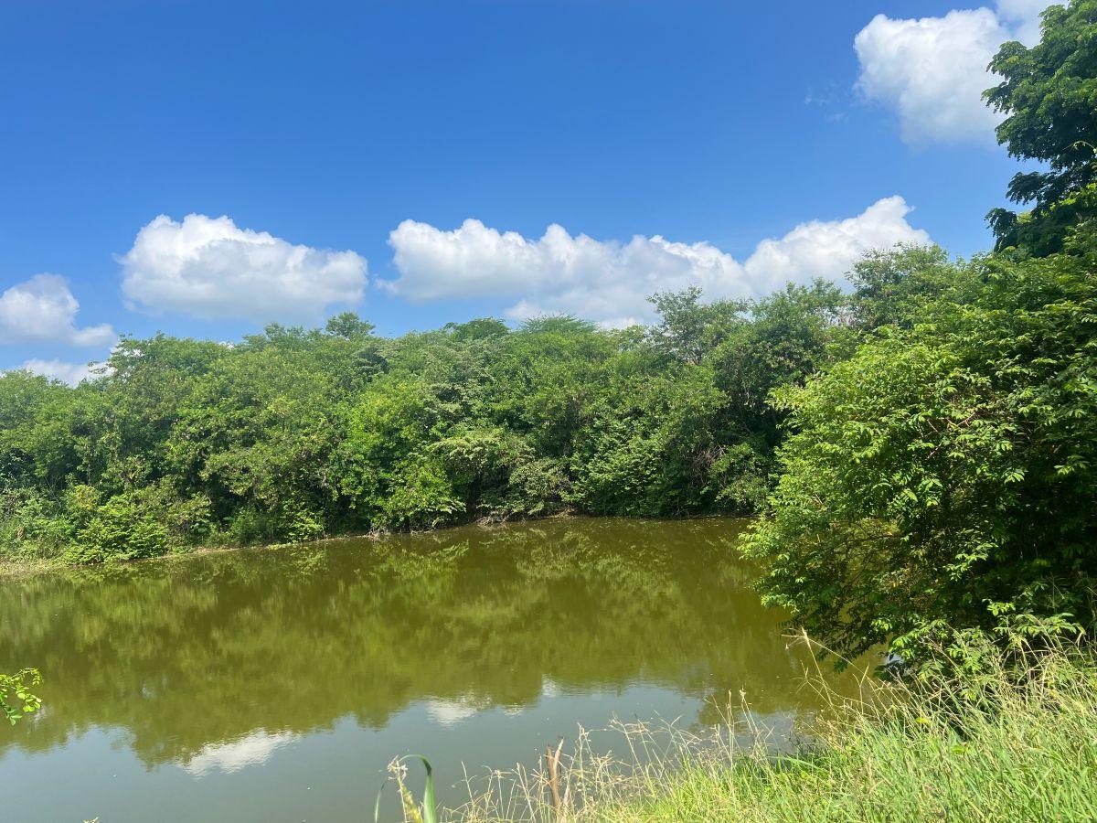 Venta Finca 30 Has Vía a Limoncito, Km 30 Vía La Costa a La Derecha, Sector Limoncito - Juntas, Guayas — imagen 3
