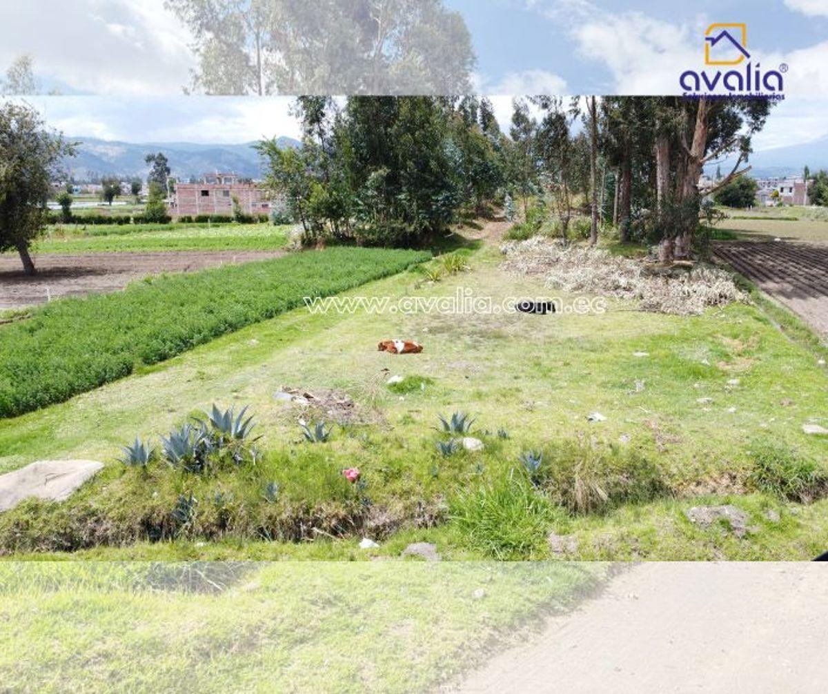 Venta de Terreno Al Sur de Riobamba, Sector Nueva Circunvalación, Chimborazo — imagen 3