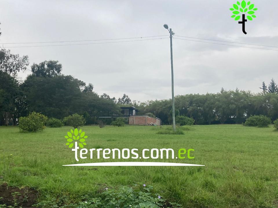 Terreno Unifamiliar en Venta, 2574,40 m². Tumbaco — imagen 8