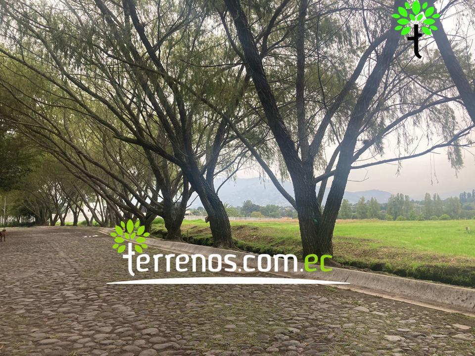 Terreno Unifamiliar en Venta, 2574,40 m². Tumbaco — imagen 6