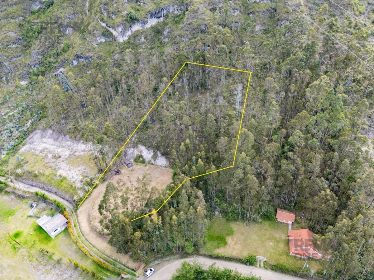 Terreno en Sur de Deleg — imagen 3