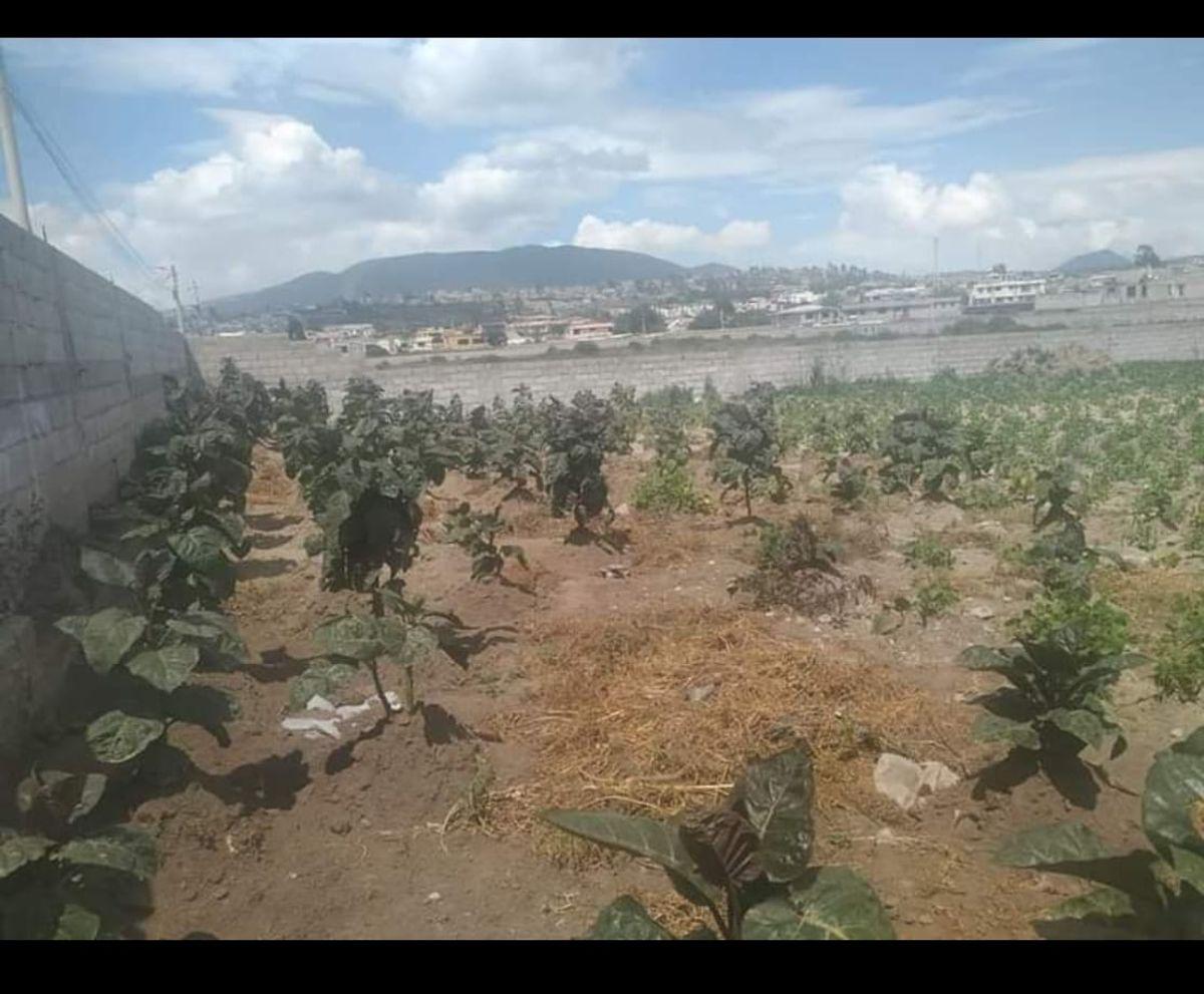 ️️se Vende Terreno Plano de Oportunidad Sector Calderon Norte de Quito.️️ — imagen 4
