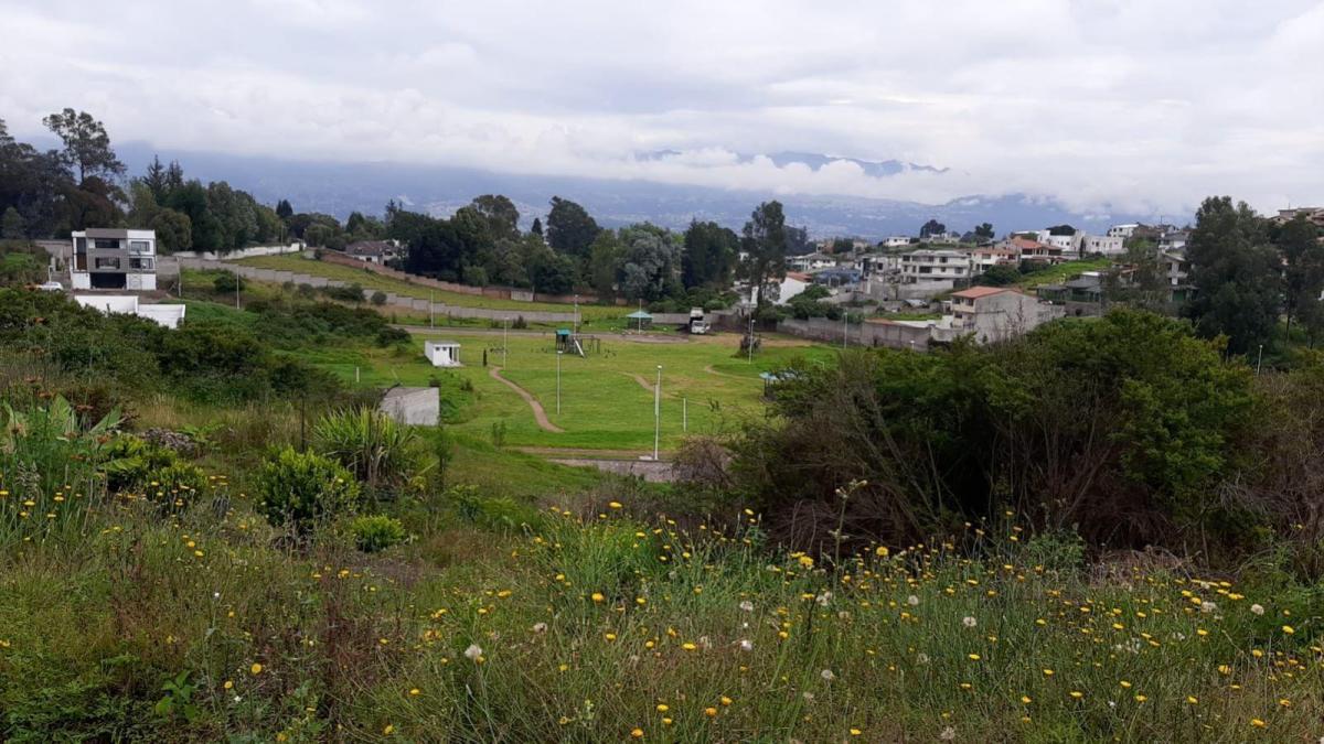 Valle de Los Chillos Terreno Plano Sector La Espe Dentro de Urbanización — imagen 4