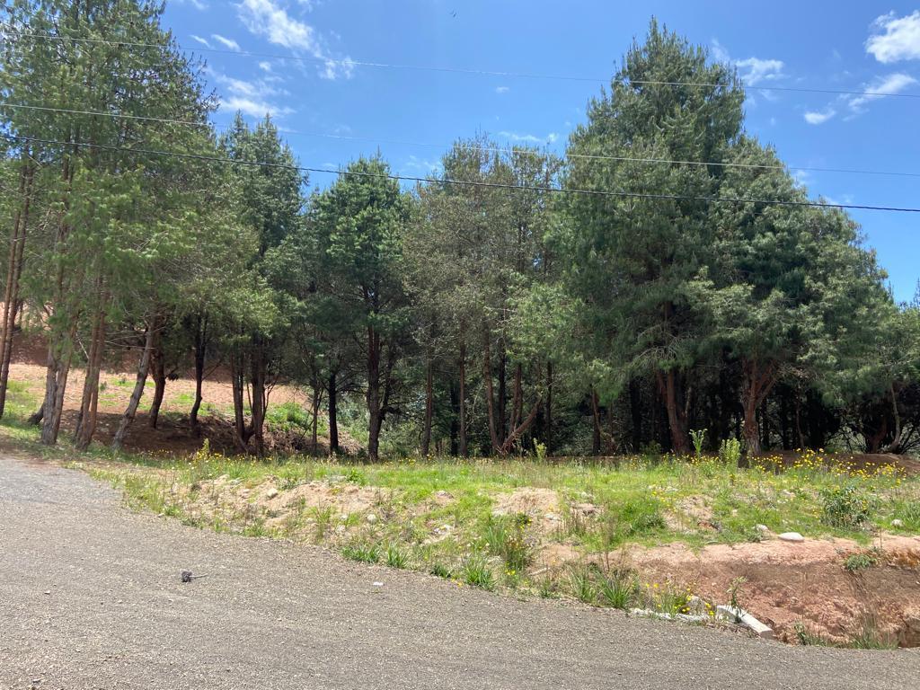 Terreno en Venta, Sector Tarqui, Zhucay, Azuay — imagen 5