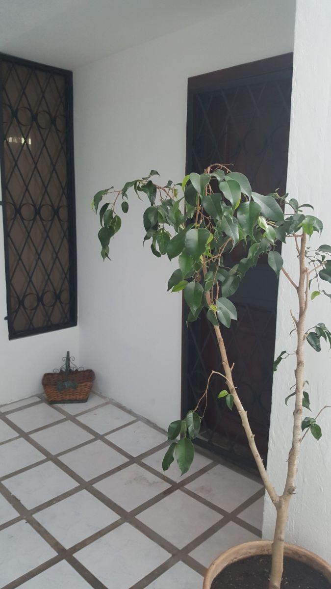 Departamento Dúplex de 160 m² con 4 Dorm. en Venta La Vicentina en Centro Norte — imagen 5