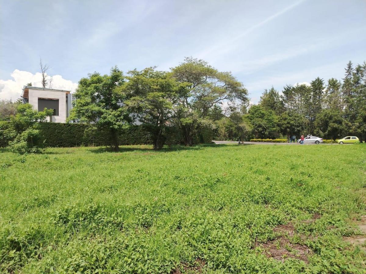 Terreno en Puembo — imagen 5