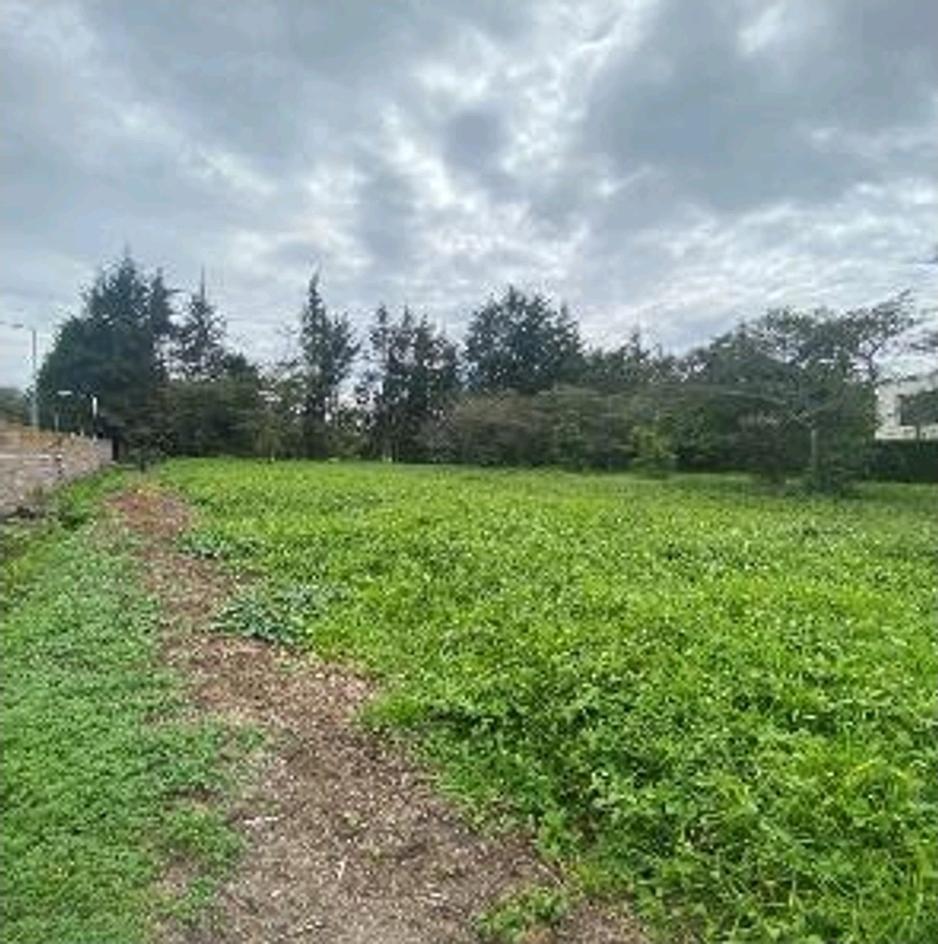 Terreno en Puembo — imagen 4