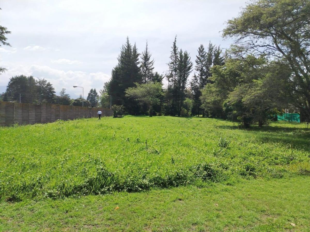 Terreno en Puembo — imagen 3