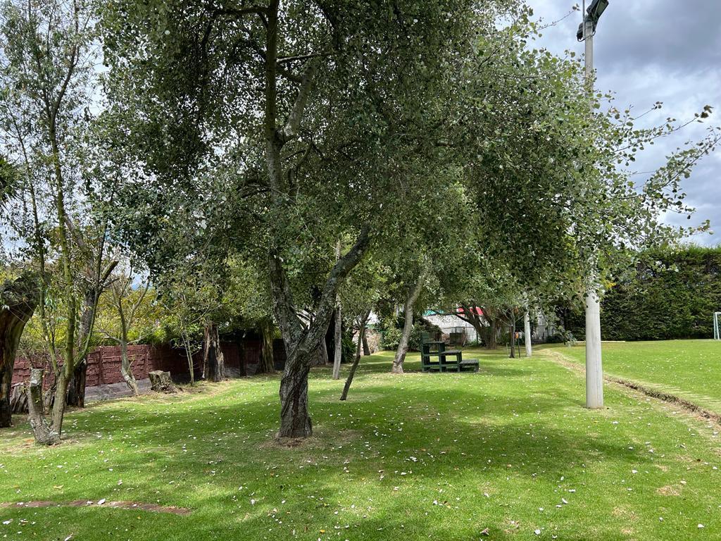 Vendo Excelente Terreno Tumbaco — imagen 4