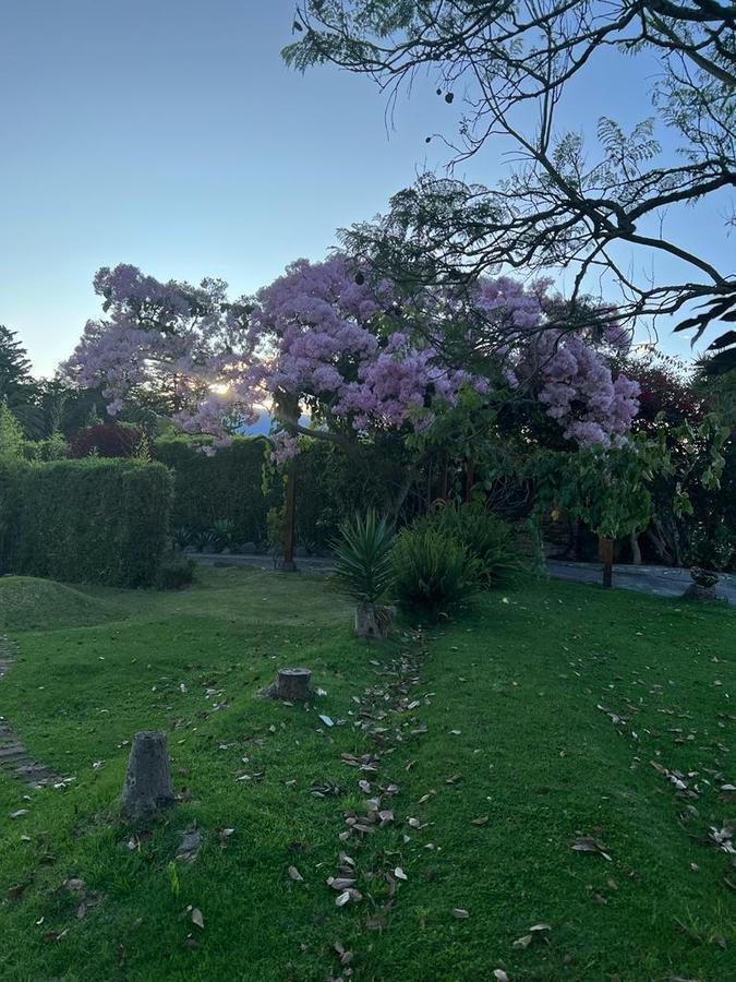 Vendo Excelente Terreno Tumbaco — imagen 3