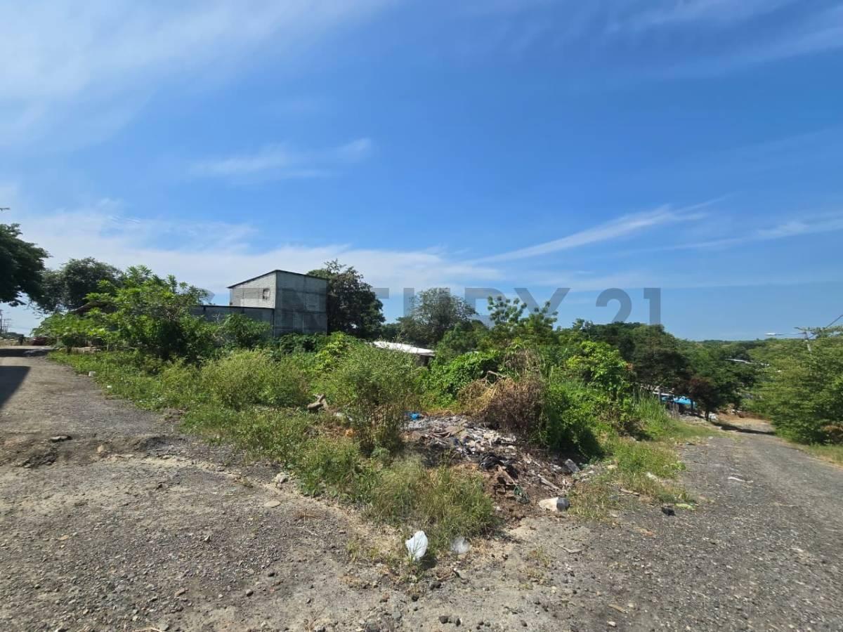 Terreno de 624 m² en Comuna San Pedro de Chongón – Vía a La Costa, Guayas — imagen 5