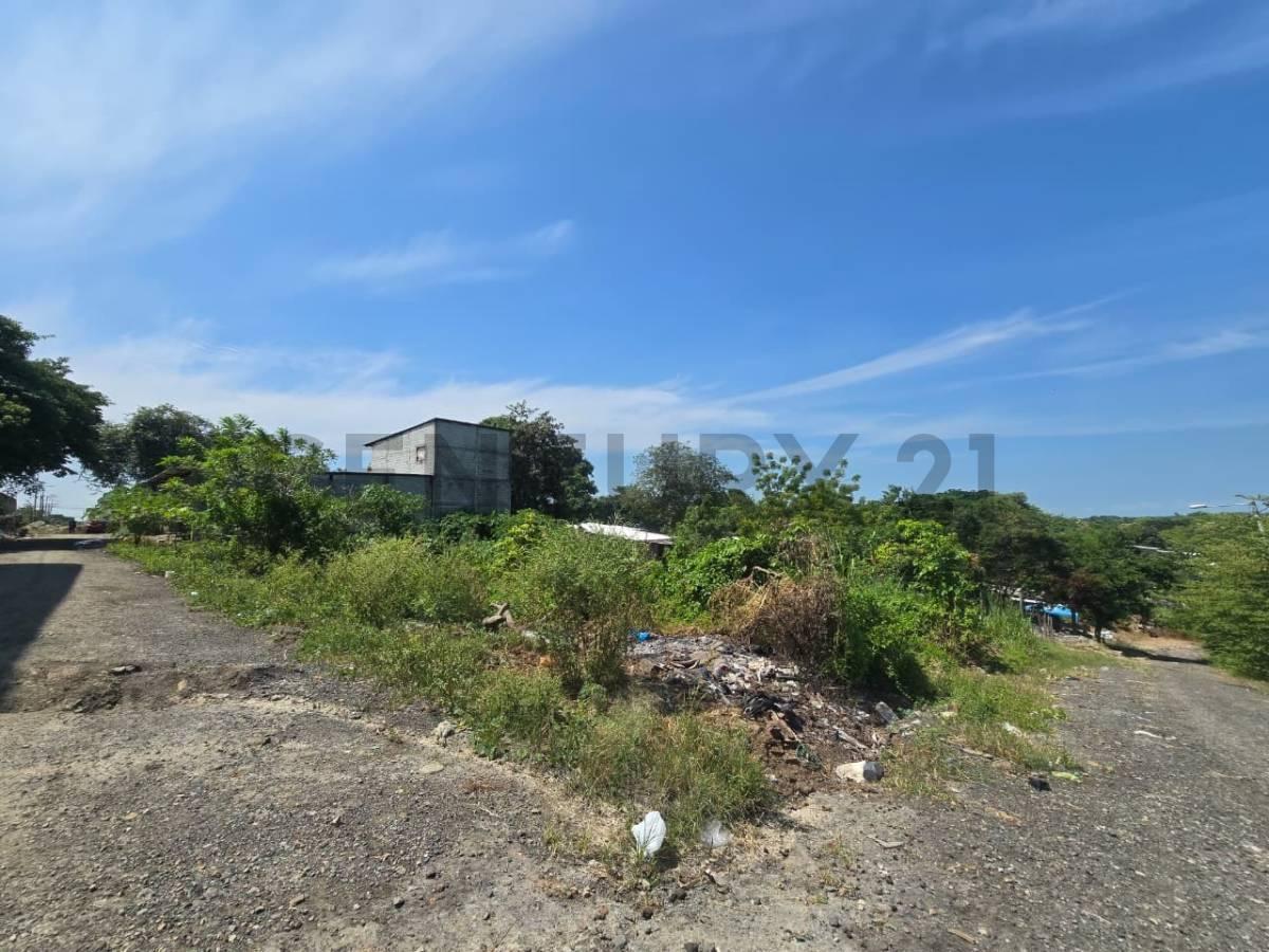 Terreno de 624 m² en Comuna San Pedro de Chongón – Vía a La Costa, Guayas — imagen 4