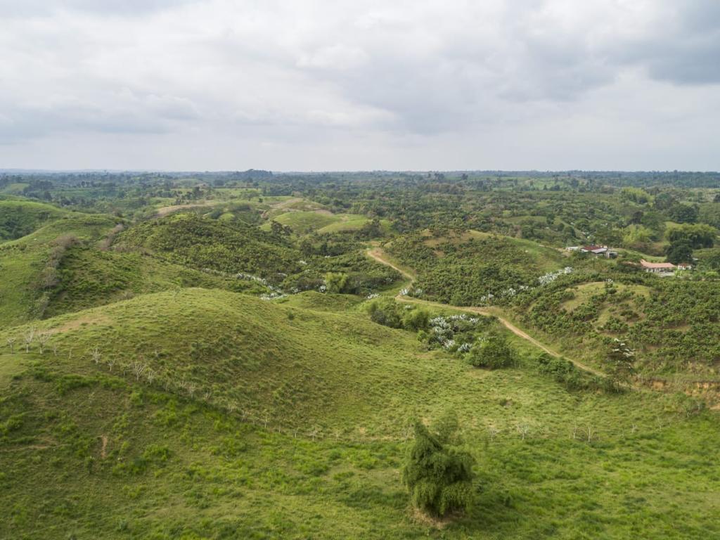 Se Vende Finca Ganadera de 190 Has en La Concordia — imagen 5