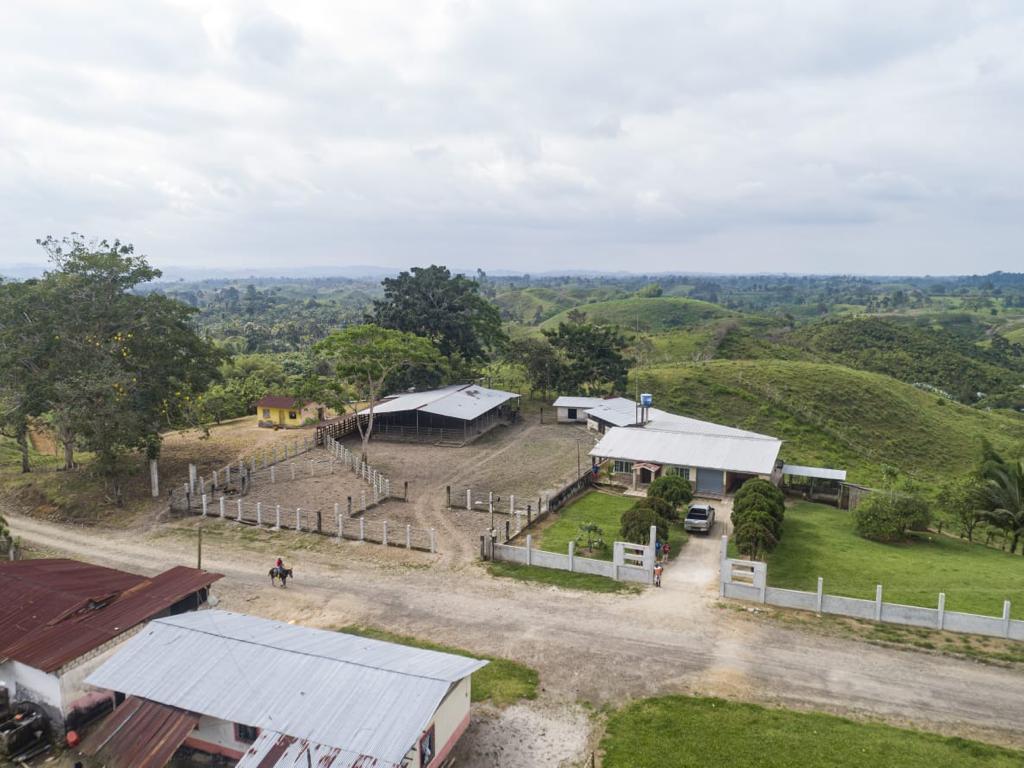 Se Vende Finca Ganadera de 190 Has en La Concordia — imagen 3