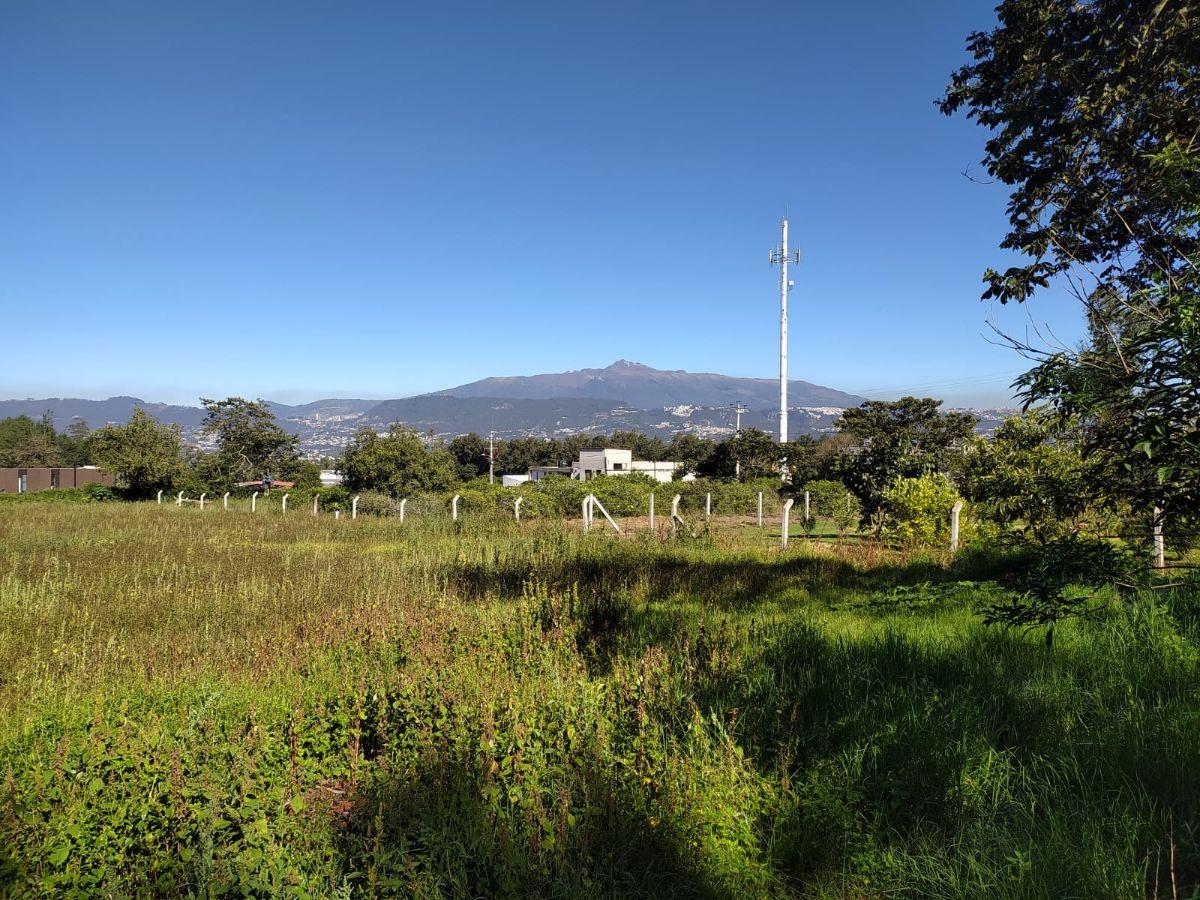 Puembo en Venta Terreno de 3.309,16 m², Sector Mangahuantag, Ideal Constructores — imagen 4