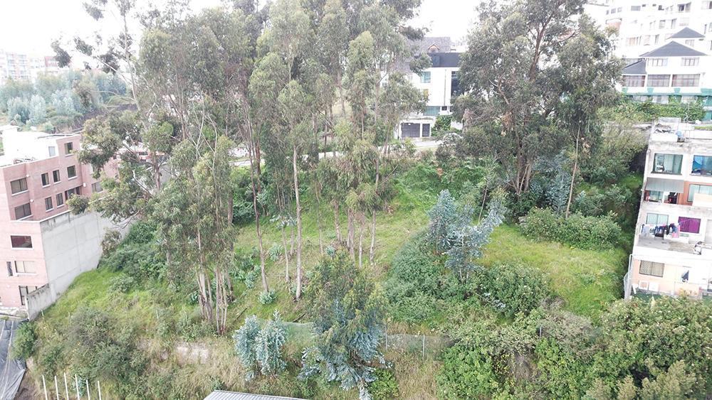 Venta de Terreno Unión Nacional 668 m² Independiente El Bosque - Occidental — imagen 4