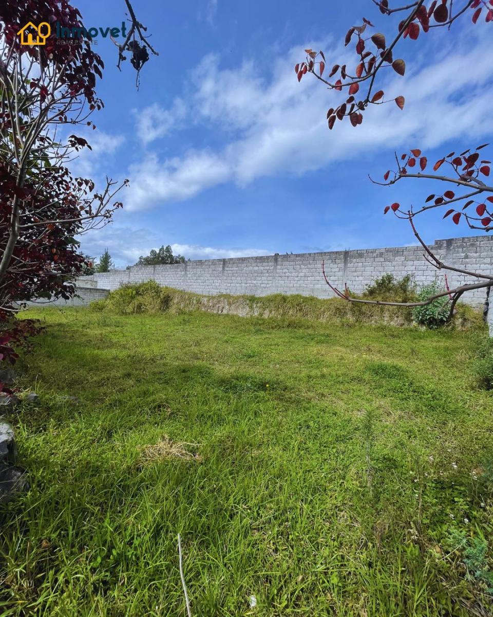 Terreno en Zona Residencial, Imbabura — imagen 4