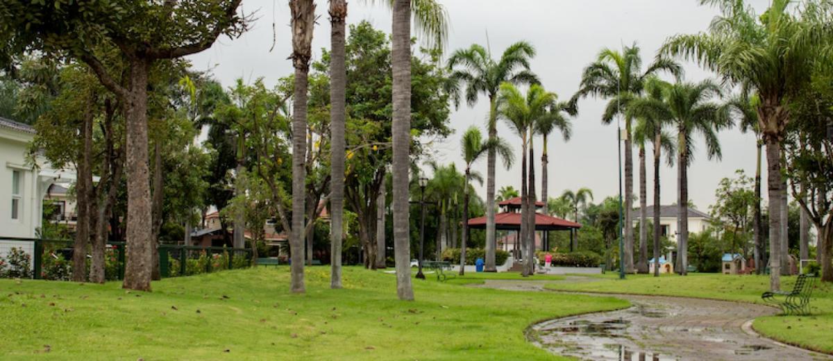 Terreno a La Venta en Vista Al Parque. Guayas — imagen 5