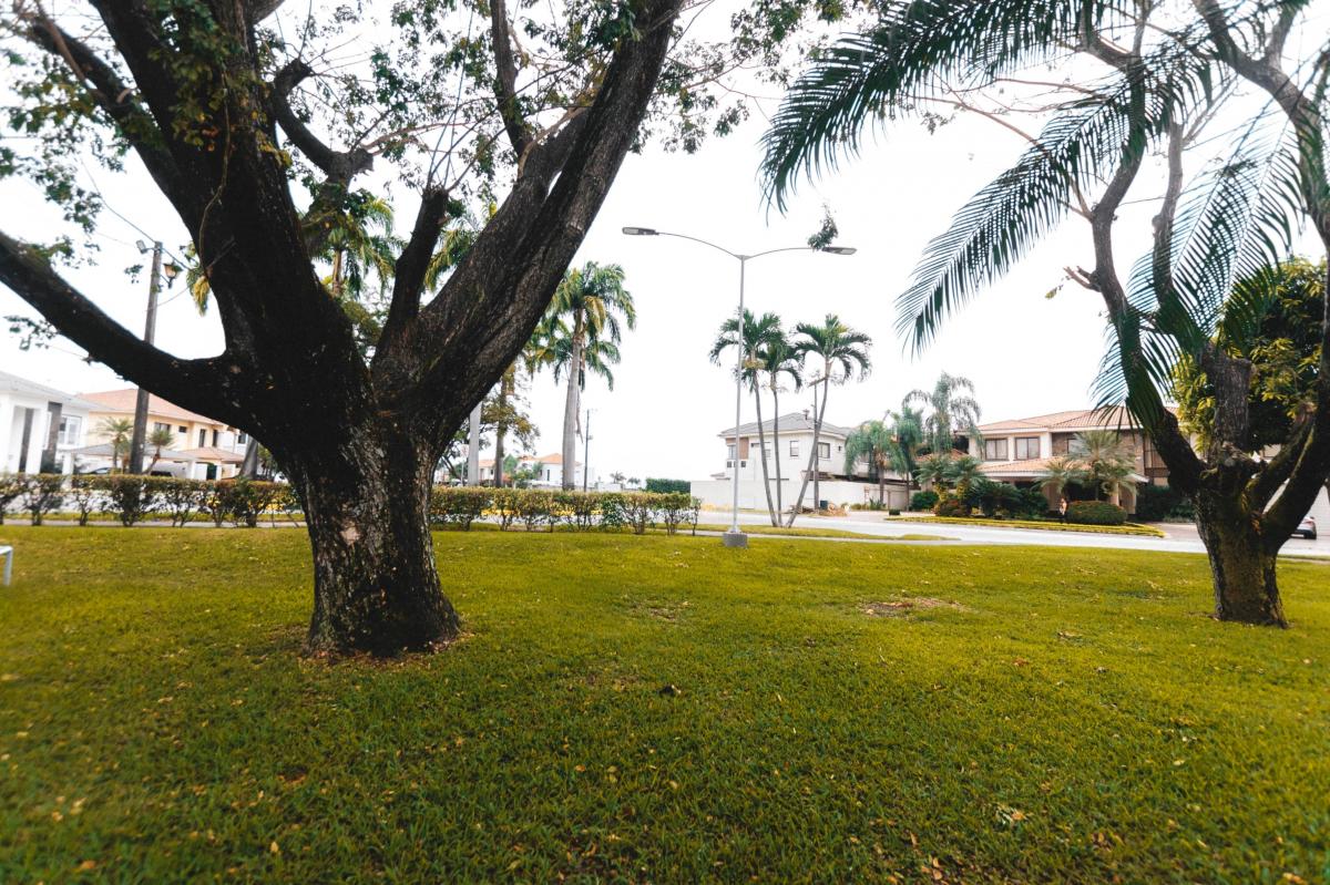 Terreno a La Venta en Vista Al Parque. Guayas — imagen 4